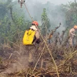 Queimadas: Bombeiros de três cidades vão reforçar combate a incêndios no Pantanal