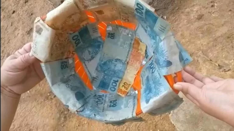 Boi engole R$ 1,5 mil e dono abate animal para recuperar dinheiro no Sul do Piauí