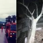 Queda de árvores fecham vias e causam danos em duas casas em Corumbá