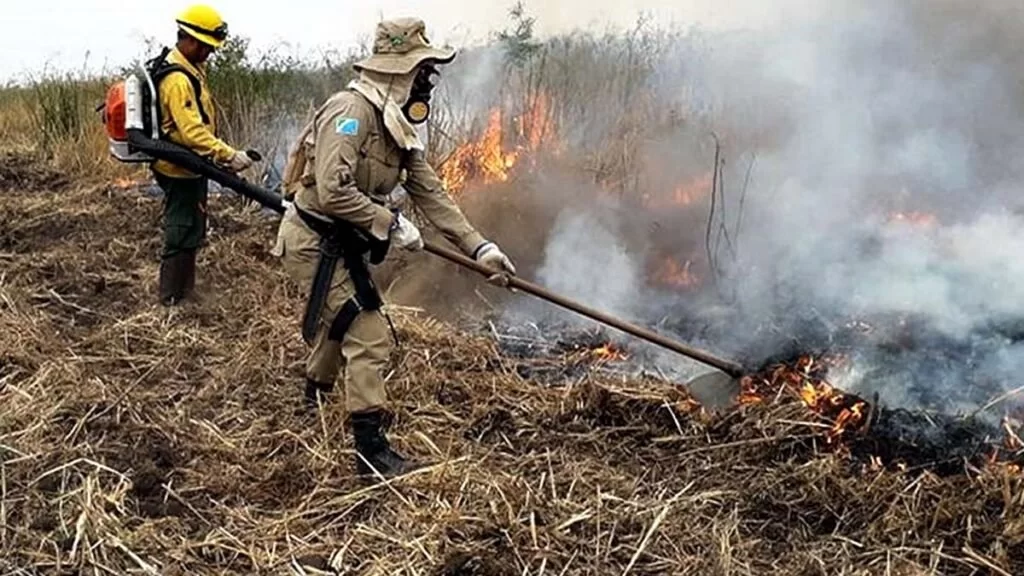 combate queimadas