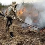 Bombeiros se antecipam para combater incêndios durante o período ‘desértico’ em MS