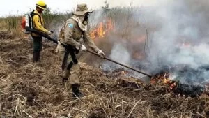 Leia mais sobre o artigo Chuva ameniza queimadas, mas monitoramento continua no Pantanal