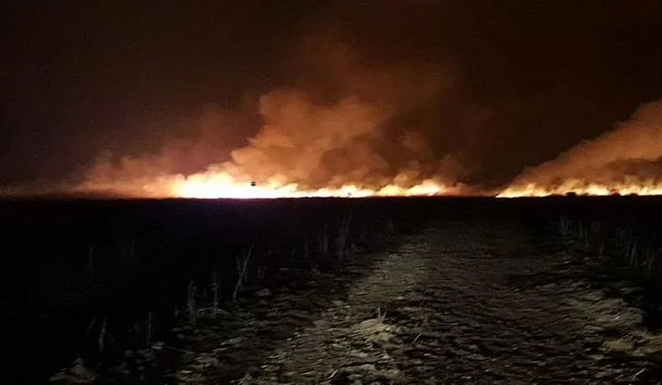 Leia mais sobre o artigo Bombeiros combatem incêndios no Pantanal do Nabileque