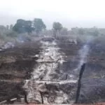 Destruídas pelas queimadas no Pantanal, pontes de madeira serão reativadas em 4 meses