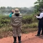 PMA aguarda conclusão de laudos para autuar fazendas por crime ambiental no Pantanal