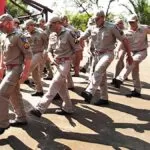 Combate às queimadas no Pantanal ganha reforço de bombeiros do Paraná