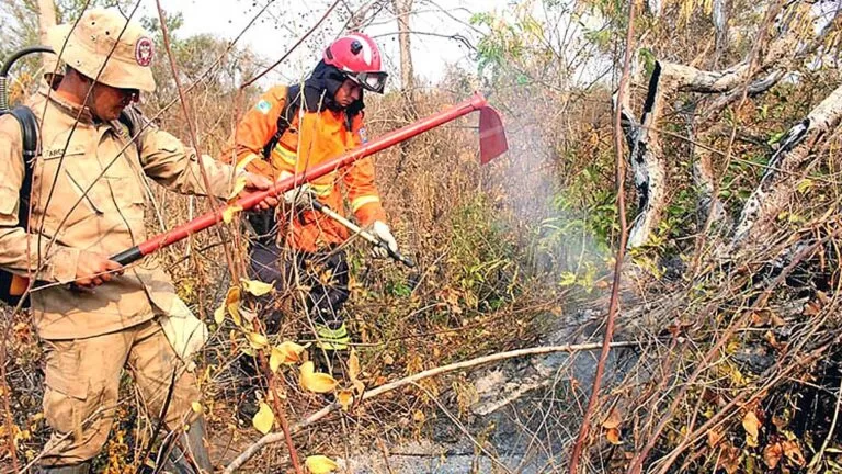 Com reforço dos bombeiros do PR, força-tarefa retoma combate às queimadas no Pantanal da Nhecolândia