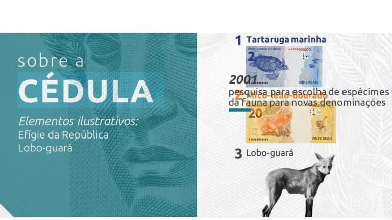 Cédula de R$ 200 entra em circulação nesta quarta-feira