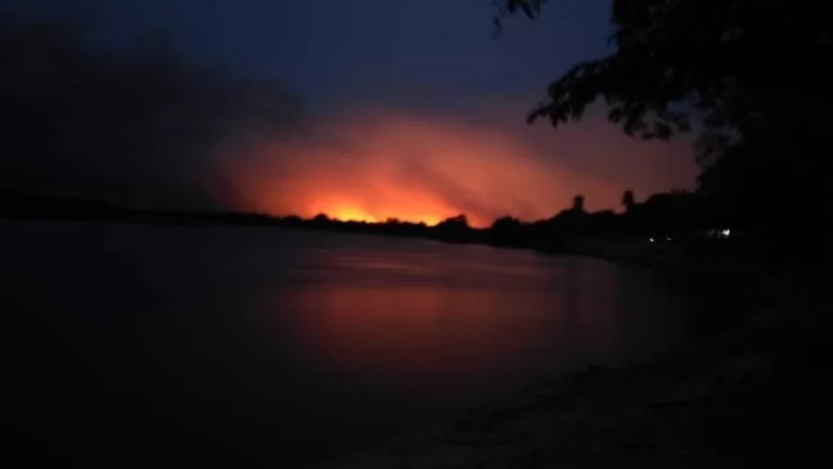 Pantanal de MS pode demorar até 100 anos para se recuperar