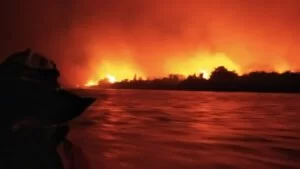 Leia mais sobre o artigo Fogo avança sobre casas e famílias são resgatadas pelo Corpo de bombeiros no Pantanal