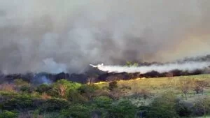 Leia mais sobre o artigo Governo intensifica combate às queimadas na região do Taquari