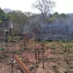 Bombeiros combatem incêndios em terrenos no Cristo Redentor e Nova Corumbá