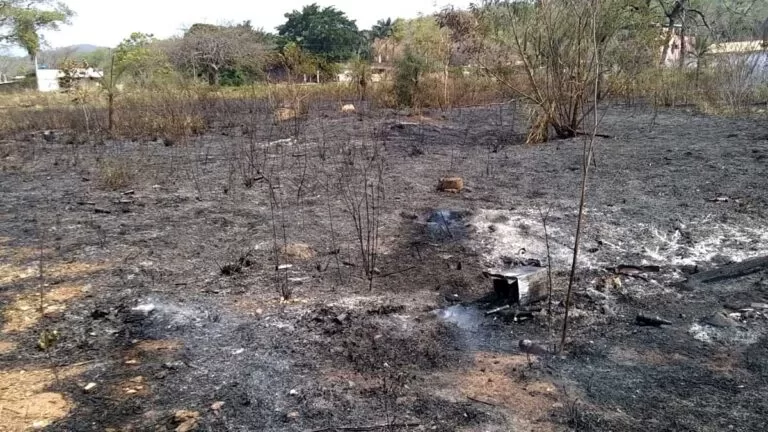 PMA aplica mais de R$ 6 milhões em multas por incêndios florestais em MS