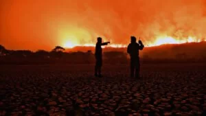 Leia mais sobre o artigo Força-Tarefa combate incêndios em reserva na região da Serra do Amolar
