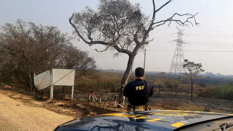Fogo destrói ninho do Tuiuiú, um dos símbolos do turismo no Pantanal