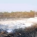 Oito pontes já foram destruídas pelas queimadas no Pantanal