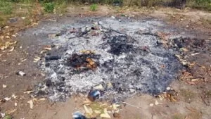 Leia mais sobre o artigo Mulher é multada em R$ 5 mil por atear fogo em resíduos no distrito de Porto Esperança