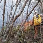 Força-Tarefa segue com enfrentamento das queimadas no Pantanal da Nhecolândia