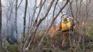 Leia mais sobre o artigo Força-Tarefa segue com enfrentamento das queimadas no Pantanal da Nhecolândia