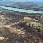 Vereador pede ao Município, isenção do ITR de propriedades atingida pelas queimadas no Pantanal