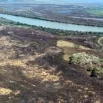 Pantanal perdeu 30% de sua área para os incêndios de 2020, revela estudo