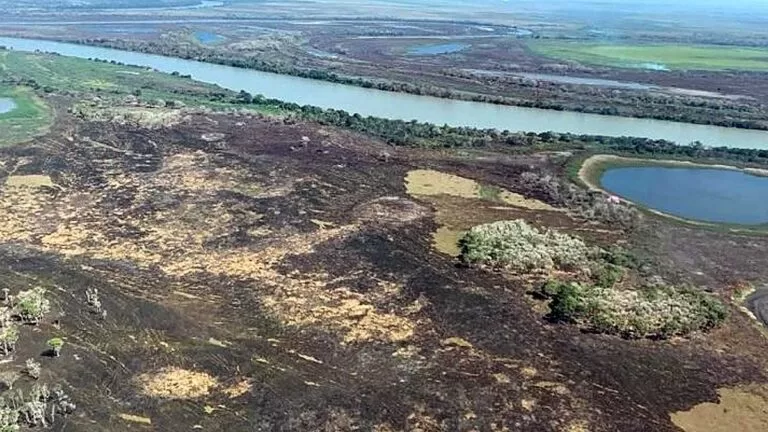 Pantanal perdeu 30% de sua área para os incêndios de 2020, revela estudo