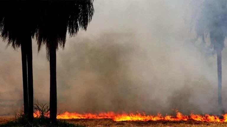 Mato Grosso do Sul vai receber mais R$ 1,35 milhão para combate a incêndios florestais