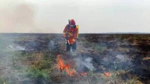 Leia mais sobre o artigo Com início do outono, estiagem intensifica alerta de incêndios florestais no Pantanal