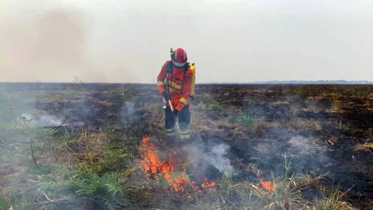 Semadesc investe R$ 1,5 milhão em brigadas voluntárias contra incêndios no Pantanal. Projeto cria 10 núcleos operacionais em Corumbá e Porto Murtinho.