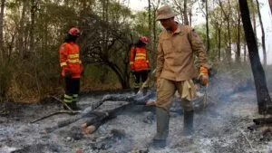 Leia mais sobre o artigo Força-Tarefa mantém trabalhos de combate a focos de incêndios no Pantanal de Corumbá