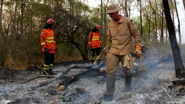 Força-Tarefa mantém trabalhos de combate a focos de incêndios no Pantanal de Corumbá