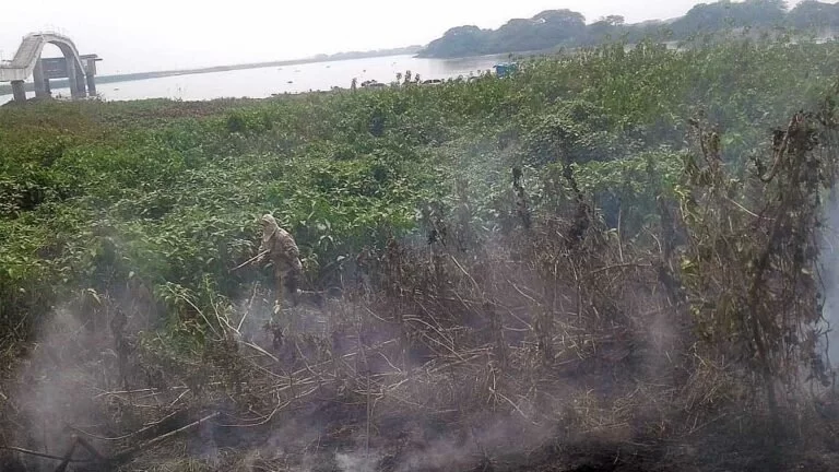 Seis incêndios em vegetação são controlados pelos Bombeiros em Corumbá