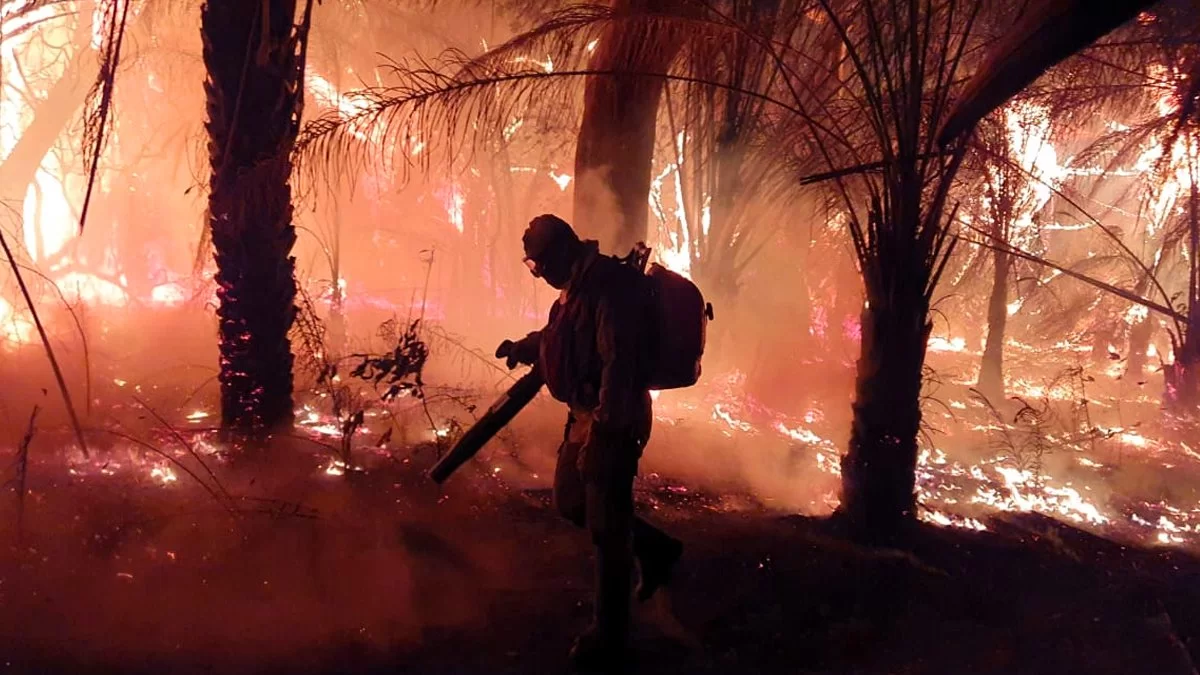 Leia mais sobre o artigo Combate às queimadas no MS ganha reforço de mais 120 brigadistas e bombeiros