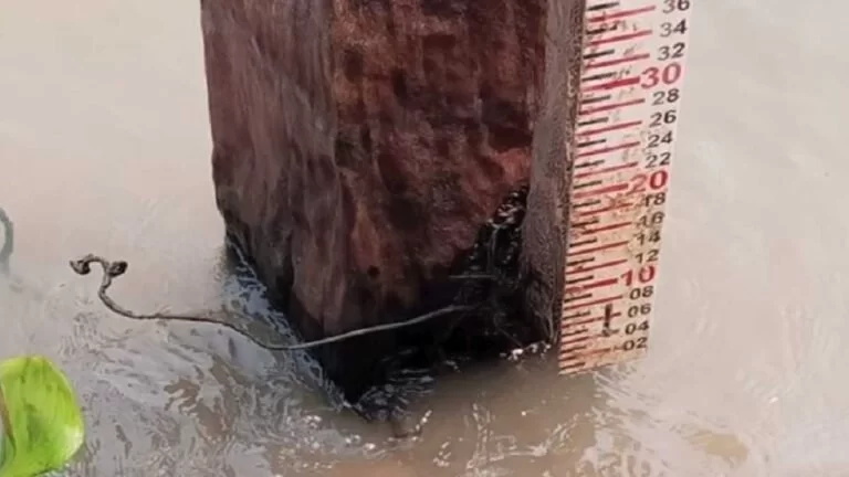 Com níveis dos rios em declínio, Pantanal pode enfrentar seca histórica em 2024