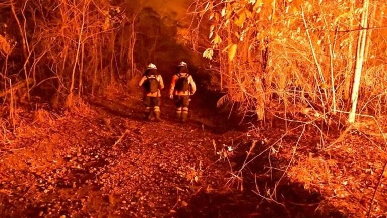 Com esforço sobre-humano, bombeiros e brigadistas travaram batalha para controlar incêndios no Amolar