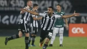 Leia mais sobre o artigo Último invicto do Brasileirão, Palmeiras cai diante o Botafogo no RJ