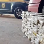 Carregamento de cocaína avaliado em mais de R$ 5 milhões é apreendido pela PRF