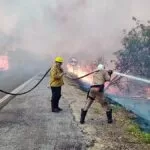 Fogo continua devastação no Pantanal de Mato Grosso do Sul