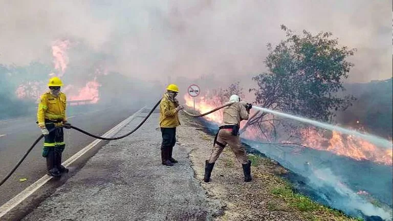 Fogo continua devastação no Pantanal de Mato Grosso do Sul