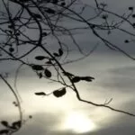 Passagem de frente fria provoca chuva e ameniza calorão em Mato Grosso do Sul