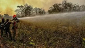 Leia mais sobre o artigo 71 soldados são enviados para reforçar combate às queimadas no Pantanal