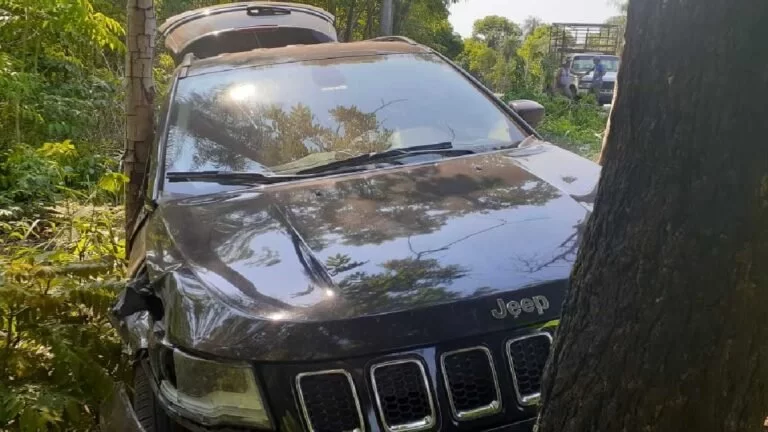 Veículo bate em árvore após desviar de colisão frontal na BR-262