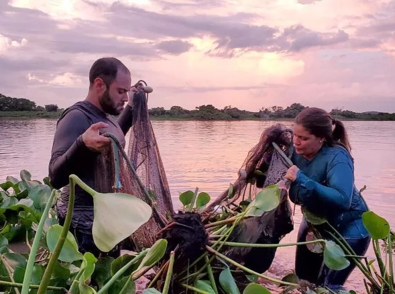 Pesquisadores catalogam 104 novas espécies e ampliam em 40% inventário de peixes do Pantanal
