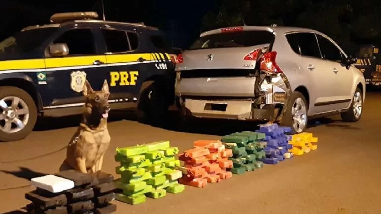 Com auxílio de cão farejador, PRF apreende carregamento de cocaína avaliado em R$ 13 milhões | vídeo