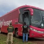 Com documentação vencida e sem vistoria, ônibus clandestino que seguia para Corumbá é multado pela Agepan