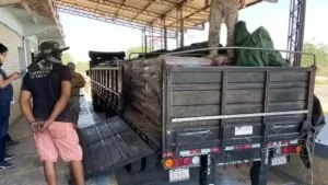 Leia mais sobre o artigo Caminhão com cimento vindo da Bolívia transportava 114 quilos de cocaína
