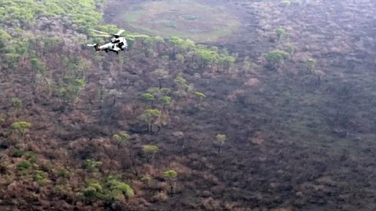 Produtor terá R$ 180 milhões em financiamento para recuperar pecuária da região pantaneira