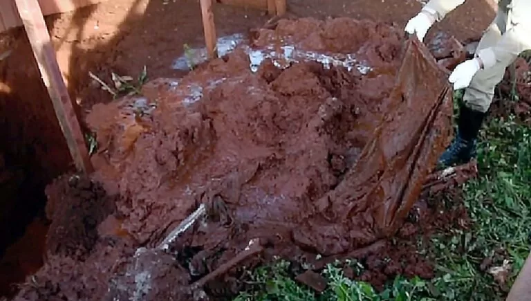 Corpo de homem morto a machadadas é encontrado dentro de fossa em MS