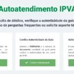 IPVA 2021: confira dicas para atestar a autenticidade do carnê