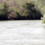 Bombeiros procuram por menina de 6 anos que desapareceu em rio de MS